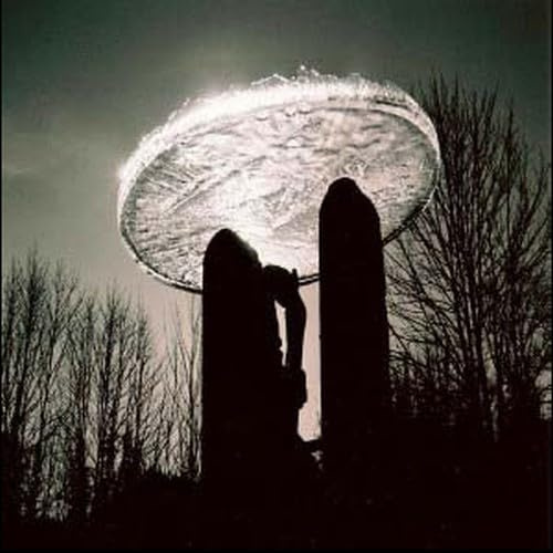 Camera Obscura Records/Carrot