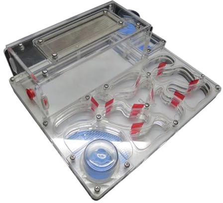 LOVIVER Nido de Hormigas, Granja de Hormigas, Invernadero Rectangular Ligero y Resistente, Ideal para Hacer Mismo, para Insectos, Juguete de Aprendizaje, Blanco