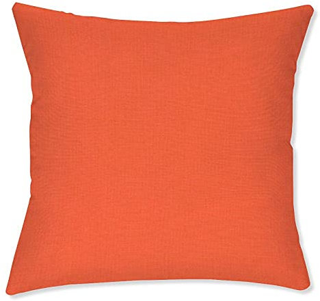 BYRON HOYLE Color of NECTARINE - Juego de 2 fundas de cojín para exteriores, decoración al aire libre, para jardín, patio, tienda, sofá, regalo de inauguración de la casa, 45 x 45 cm