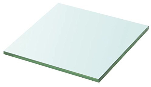 BaraSh Regalboden Glas Transparent 20 cm x 20 cm Glaseinlegeboden Nach Maß Transparentes Badezimmerregal