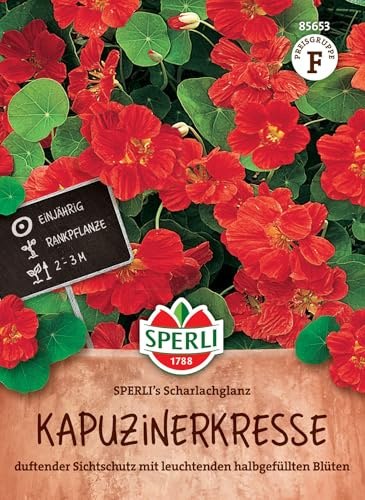 SPERLI Kapuzinerkressesamen SPERLI's Scharlachglanz - Einjährige Blumensamen mit Halbgefüllten Roten Blüten, Wuchshöhe 30-40cm, Einfache Anzucht