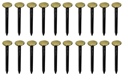cyclingcolors 20x chiodi chiodini in acciaio con testa larga dorata in ottone fissaggio fotografie quadri ai muri decorativo, 2x40mm