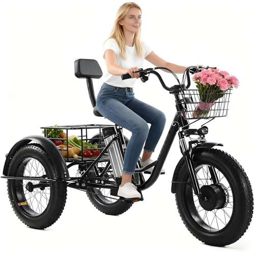 flatpincololee Triciclo Eléctrico Adulto 48V 12Ah Batería Extraíble, 350W Bicicleta Eléctrica de Tres Ruedas 20x4.0, Ruedas Gruesas, Cesta Grande, Frenos de Disco Dobles – No Plegable para Nieve