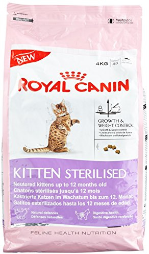 Royal Canin Feline Kitten Sterilised, 1er Pack (1 x 4 kg)