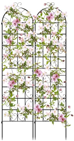 COSTWAY Spaljé metall, set om 2, dekorativt trädgårdsstaket, fristående spaljé, trädgård för anslutning, rosenspalier spaljé, för klätterväxter, blomma, grönsaker (svart, 220 x 50 cm)