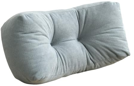 AOPEZIA Cuscino per la Schiena per Sedia, Cuscino di Supporto Lombar per Sedia da Ufficio per il Rilievo del Dolore alla Schiena Inferiore, Cuscino Morbido per Auto, Letto, Divano con Alta Elasticità