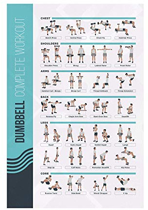 FitMate Hantel-Workout-Übungsposter – Workout-Routine mit freien Gewichten, Heim-Gym-Dekoration, Raumanleitung (41,5 x 63,5 cm) | Trainingsroutine mit Freien Gewichten, Heim-Gym-Dekoration