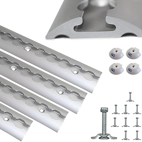 NTG 2 Stück je 2 m Airlineschiene in Halbrunder Form mit Bohrungen - TÜV Zertifiziert - inkl. 10 Stück Schraubfitting + 4 Stück Endkappe | Ladungssicherung für LKWs und Wohnmobile | Silber eloxiert