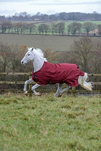 Bucas Freedom Light, Cherry 165