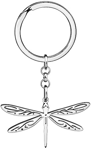 YAYAKO Porte-clés libellule en acier Inoxydable Porte-clés Voiture Porte-clés libellule Cadeaux pour Femme filles Printemps Été Charms (Plaqué Argent 038S)