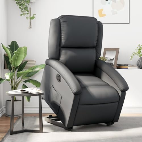 IKAYAA Elektrischer Fernsehsessel mit Aufstehhilfe Elektrisch Verstellbar Sessel Wohnzimmer Aufstehsessel Relaxsessel mit Liegefunktion Liegesessel Relaxliege Schlafzimmer Lesesessel Echtleder