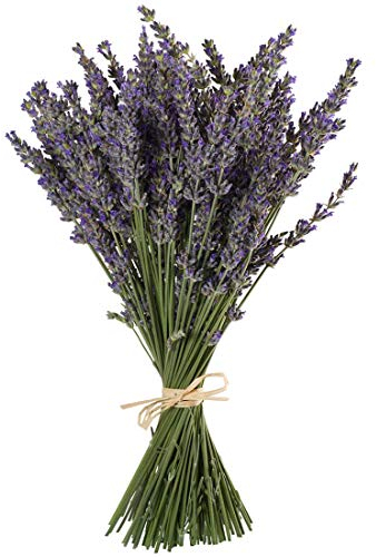 TooGet Natural Lavender Bundles, Freshly Harvested 200+ Stems Dried Lavender Bunch 16 - 18 Long, Decorative Flowers Bouquet for Home Decor, Crafts, Gift, Wedding or Any Occasion