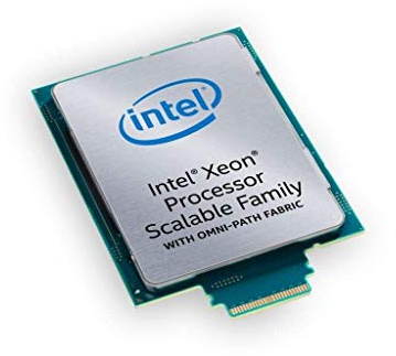 Intel Xeon Silver 4114 - Processore a vassoio 10 core 2,20 GHz 13,75 MB 85 W SR3GK (rinnovato)