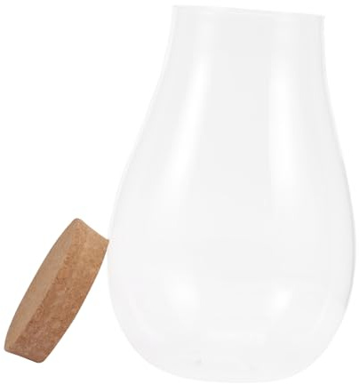 ANDRESLAD Bouteille en Verre pour Mousse et Fleurs, Conteneur de Décoration DIY en Verre, pour Bureau ou Salle à Manger, Design Miniature et Naturel