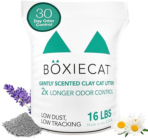 Boxiecat Gently Scented Premium Clumping Clay Cat Litter-16-Pounds
