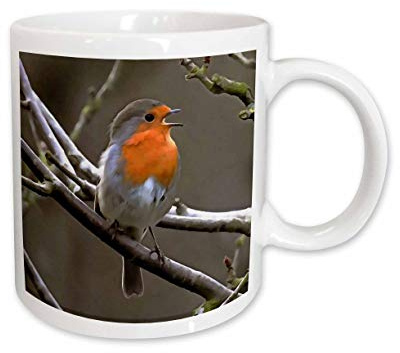 3dRose European Robin Red and Grey Painting 15oz Mug