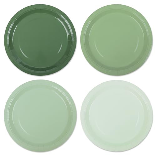 AimFun Sage Green Paper Plates Gradient Green Party Plates 9 Inch Disposable Round Dinner Dessert Plates for Christmas Birthday Baby Shower Tini Bit Older Party Supplies (48)
