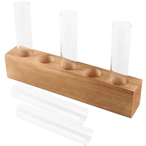 FONDOTIN Pflanzenterrarium Für Innenbereich Mit Holzständer Und Glasvasen Für Zimmerpflanzen Dekoration Dem Schreibtisch