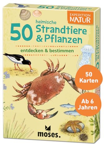 moses. Expedition Natur - 50 heimische Strandtiere und Pflanzen| Bestimmungskarten im Set | Mit spannenden Quizfragen, Yellow