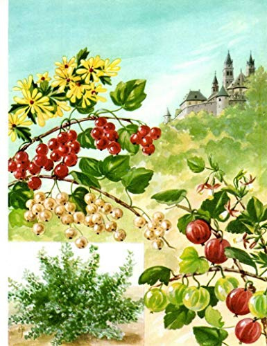 Targa in metallo con piante di ribes e uva spina del 1957, decorazione artistica da parete, 20 x 30 cm