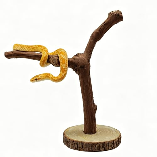 BNOSDM Reptile Grapevine Wood Decoration Lizard Natural Wood Climb Tree Branch Decor Grape Wood Branches Tank Accessories for Leopard Gecko Frog Snake Climbing Terrarium Ornament,7.87in