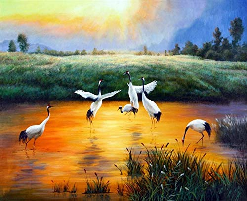YEESAM ART DIY Ölgemälde Malen nach Zahlen Erwachsene Kinder, Weißer Kranich Sonnenuntergang See 16x20 Zoll Zahlenmalerei ab 5 Öl Wandkunst (Kranich, mit Rahmen)