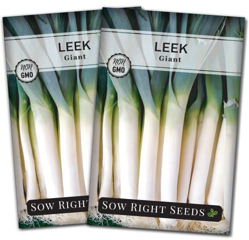 Sow Right Seeds - Giant Leek Seeds for Planting - Non-GMO Heirloom Packet with Instructions to Plant and Grow an Outdoor Home Vegetable Garden - Large Green Chive Onion - Cook Asian Cuisine (2)