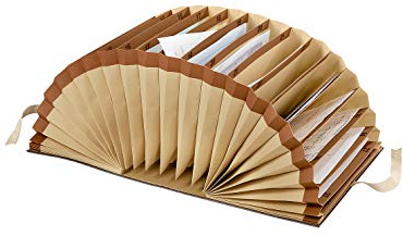 Leitz 56310000 Schriftenordner 1-31, 31 Fächer, Graupappe, braun