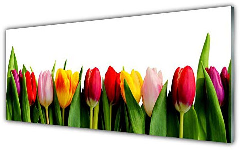 Tulup Acrylic Glass Print 125x50cm Wall Art - Wall Picture Plastic Acrylic Glass - Tulips Floral