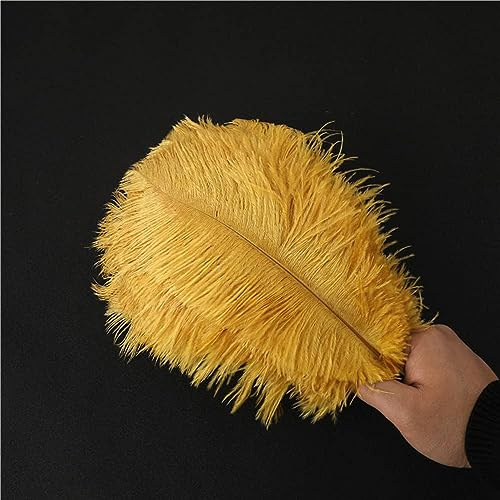10 Stück 25-30cm Natürliche Straußenfedern,Strauß Feder zum Basteln,Bastel Federn für DIY Traumfänger Zubehör,Heimdekoration,KostüMe,Tischdeko Hochzeit Party Fest Hüte Kleidung Dekoration,Gold