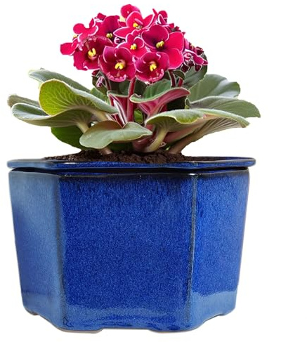 Dphagesy African Violet Pots 6 inch Hexagon Self-Watering Ceramic Violet Pots 4.50'' Opening (Blue)