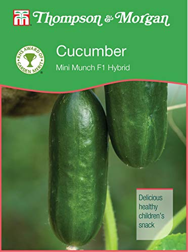 Thompson & Morgan - RHS Vegetables - Cucumber Mini Munch F1-4 Seed