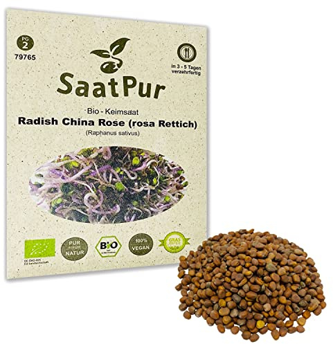 Radish China Rose Rettich BIO Keimsprossen von SaatPur - Sprossen Microgreens - 50g