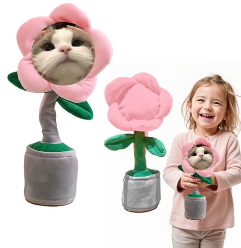 Personalized Singing Dancing Sunflower Toy, Funny Customed People Face Singing and Dancing Sensory Toys, Plush Toy Interactive Gifts for Kids, Friends, Birthdays With Gift Box (Pink)