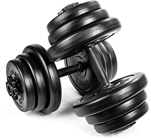 BESTIF Kurzhanteln 2er Set Hanteln 20kg Hantelset 2x10kg Krafttraining Kurzhantelstangen Hantelscheiben Sternverschlüsse
