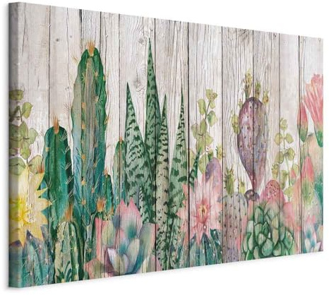 B&D XXL - Wandbilder XXL Kakteen 120x80 cm Leinwandbild 1 tlg Kunstdruck modern Wandbilder XXL Wanddekoration Design Wandbild Kaktus Blume Pflanze Sukkulenten Holzoptik wie gemalt