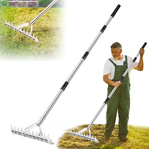 62 Thatch Rake, Adjustable Handle 15-Inch Wide Lawn Thatching Rake for Cleaning Dead Grass, 11 Curved Steel Tines Double-Sided Grass Grooming Dethatching Rakes for Garden Yard Lawn