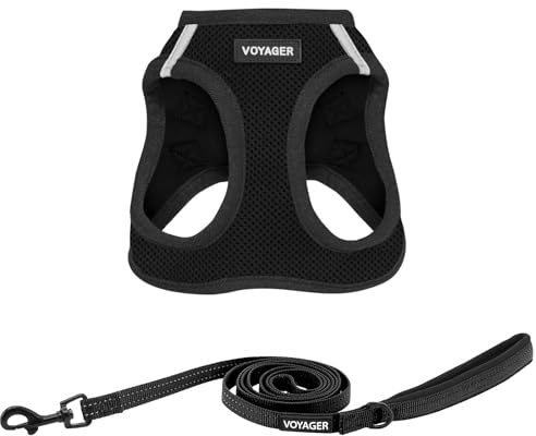 Best Pet Supplies Voyager Step-in Air All Weather Mesh Harness and Reflective Dog 5 ft Leash Combo with Neoprene Handle, for Small, Medium and Large Breed Puppies - Black, XL