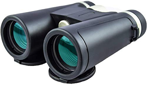 Fernglas für Erwachsene, Fernglas für Erwachsene, hohe Vergrößerung, 12 x 42, Teleskop für die Vogelbeobachtung im Freien, Konzerte für Erwachsene