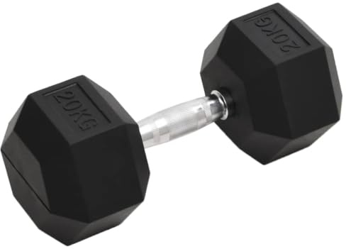 vidaXL Kurzhantel 20 kg Gusseisen