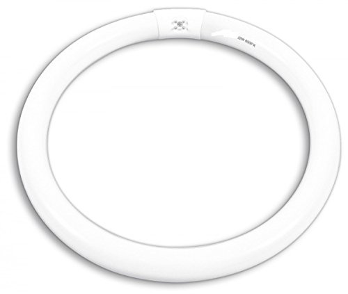 NEON CIRCOLARE TRIFOSFORO 32W LUCE BIANCA