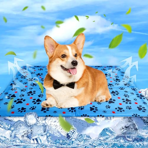 Eteiylt Tapis Rafraichissant Chien & Chat, 50×40cm Coussin Rafraichissant pour Chien, Tapis Refrigerant pour Animaux, Étanche et Facile à Nettoyer, Convient aux Petits et Grands Chien de Compagnie