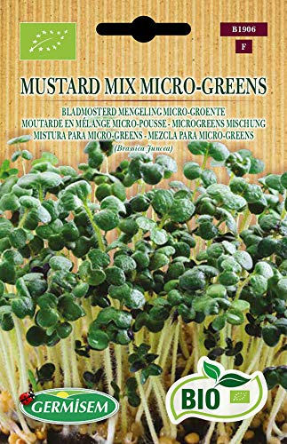 Germisem Bio Mustard Mix Micro-Greens Graines 10 g ECBIO1906 Multicolore