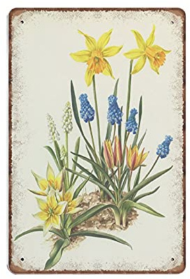Panneaux en étain botaniques en étain, 1964, tulipe Vintage, fleurs de printemps, jaune, printemps, Art mural, jacinthe, affiche en métal drôle, affiche murale, cuisine, jardin, salle de bains, décora