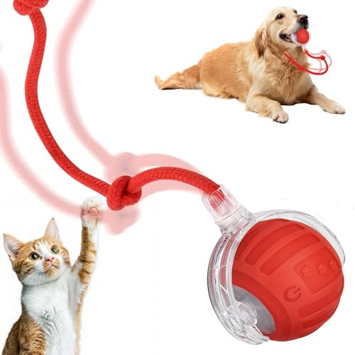 Dandin Interaktives Katzenspielzeug Selbstbeschäftigung Ball,Cat Toys | Katzen Spielzeug Elektrisch mit Schwanz,360° Automatisch Rolling Smart Toy Ball