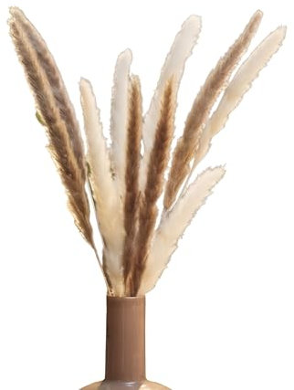 Dekoleidenschaft 2X Schilfgras Natur getrocknet, 70 cm, ideal als Tischdeko oder Vasendeko, Schilfrohr, Dekobündel, Dekogras, Dekoschilf, Pampasgras, Grasbüschel, Puschelgras, Büschelgras
