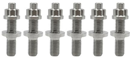 RISON-Titanium 6 Set Titan Auspuffkrümmer Stehbolzen Kit M8x1.25x65mm, GR5 Titan Ansaugung Auspuff Bolzen und Muttern Kit, Krümmerstehbolzen passend für Ford, Honda (Titanlegierungurfarbe)