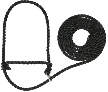 Weaver Leather Livestock Kirk Stierwalt Breaking Halter,Black,8 1/2'