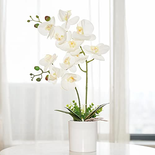 Ohmywor Artificial Orchid Flower Potted, 16.9 White Orchid in Pot Faux Plant with 2 Stems Artificial Phalaenopsis in Plastic Pot for Home Table Centerpiece Wedding Decoration
