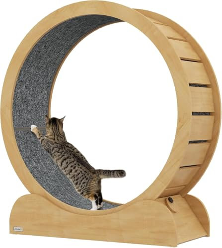 Großes Katzen-Trainingsrad für Hauskatzen, Außendurchmesser 120 cm, Katzenrad mit Sicherheitsschloss und austauschbarem Griffpolster, geräuschlose Rolle, Katzenlaufrad für Gewichtsverlust und Ex
